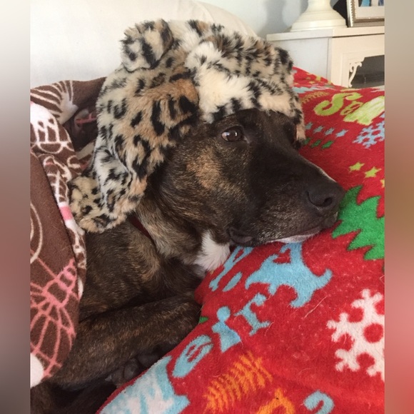 End of duty 6/12/24 - Picture 11 of 15